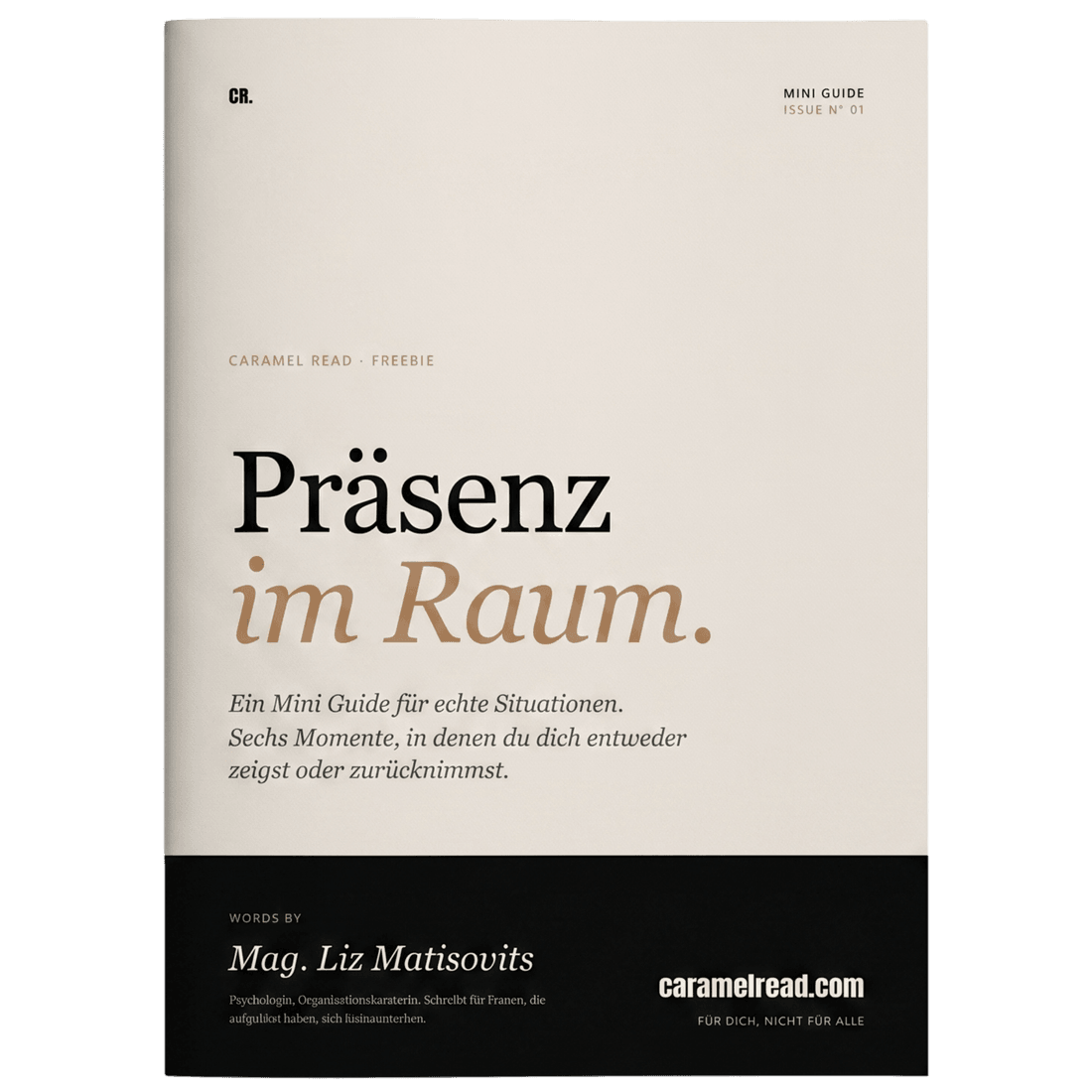 Mini-Guide Präsenz im Raum